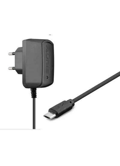 Auris Micro Usb Kutu Şarj 1A Ars-Ch24 G810