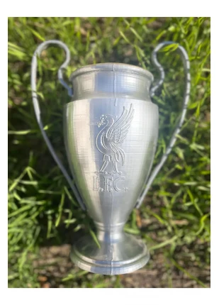 Şampiyonlar Ligi Kupasi 30 Cm ( Goplast Collection 500gr özel üretim)