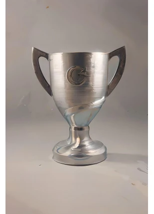 Ziraat Türkiye Kupası 20 Cm  (400gr)