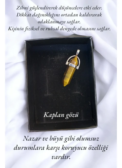 KAPLAN GÖZÜ