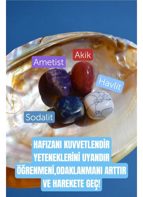 Çok Renkli 9