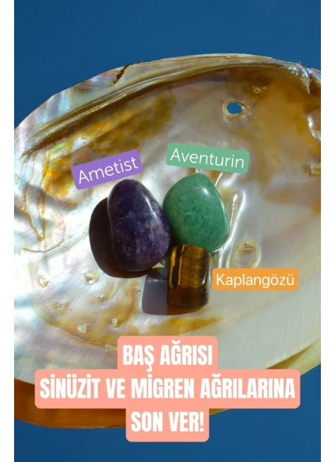 Çok Renkli 2