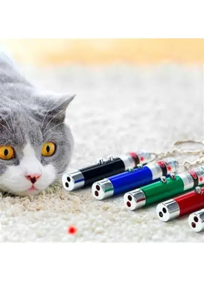 3 Fonksiyonlu Kırmızı Beyaz Işıklı Led Lazer Kedi Köpek Oyuncak Anahtarlık