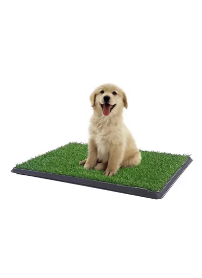 Yavru Köpek Tuvalet Eğitim Parkı 3 Katmanlı - 45Cm x 32 Cm