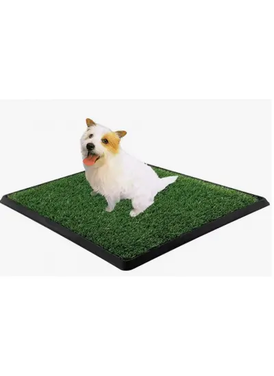 Yavru Köpek Tuvalet Eğitim Parkı 3 Katmanlı - 45Cm x 32 Cm