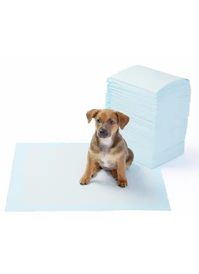 Yıkanabilir Köpek Çiş Pedi - 100 X 70 Cm 5li Paket