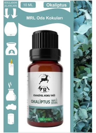 Okaliptus Kokusu Buhurdanlık Yağı Aromaterapi Yağ Difizör Esansı Buhur Yağ Oda Kokusu 10ml (MRL)