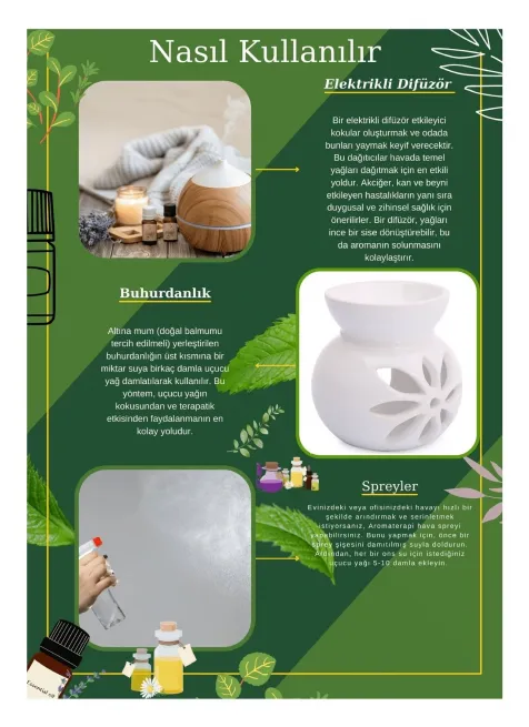 Okaliptus Kokusu Buhurdanlık Yağı Aromaterapi Yağ Difizör Esansı Buhur Yağ Oda Kokusu 10ml (MRL)