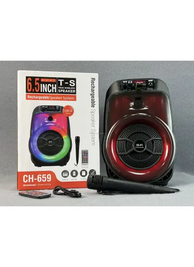 JapanEx Ch-659 Kablosuz Bt Hoparlör Hıfı Dj Karaoke 6.5 İnç Buluetooth Hoparlör