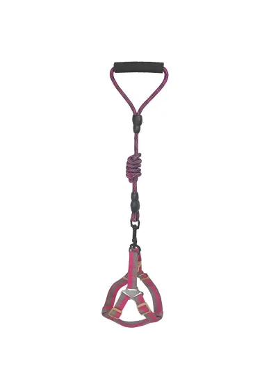 Köpek Göğüs Tasma Seti Dalga Desenli 2 cm*40-58 cm Mor-Pembe