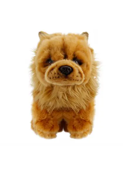 Chow Chow (Çin Aslanı) 28 cm