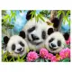 NessiWorld Prime 3D - Panda Pelüş ve Selfie 48 Parça Puzzle 15800