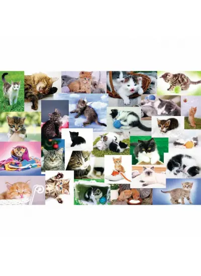 17332 Kedi Dünyası 60 Parça Puzzle -Trefl Puzzle