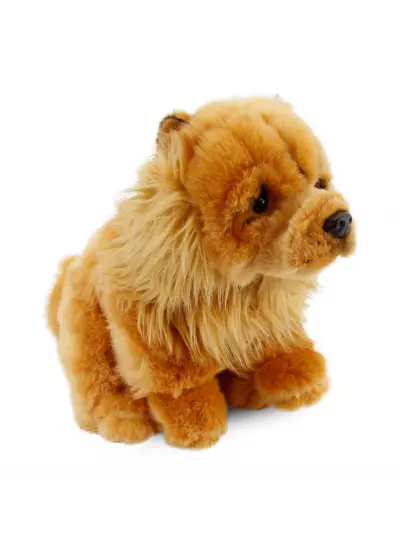 Chow Chow (Çin Aslanı) 28 cm