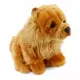 Chow Chow (Çin Aslanı) 28 cm