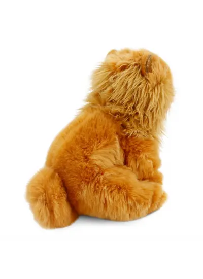 Chow Chow (Çin Aslanı) 28 cm