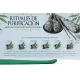 White Sage Cleansing Collection Hexa Tütsü Oda Kokusu Gift Pack