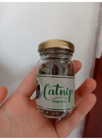 Catnip Doğal Kedi Otu - Kedi Nanesi