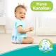 Nessiworld Prima Bebek Bezi Aktif Bebek Fırsat Paket 6 Beden 40 Adet