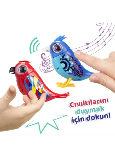 Digibirds İkili Paket Seri 2