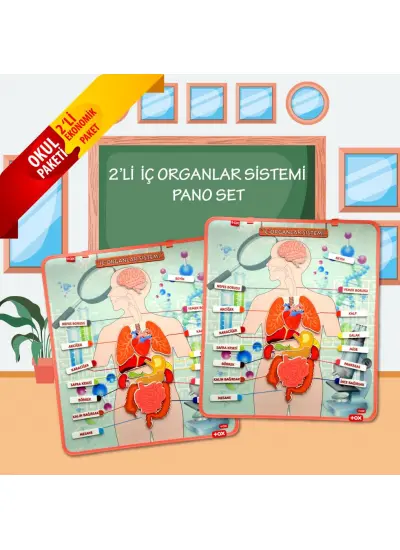 2 Set - 52 Parça  İç Organlar Sistemi Keçe Duvar Panoları , Eğitici Oyuncak