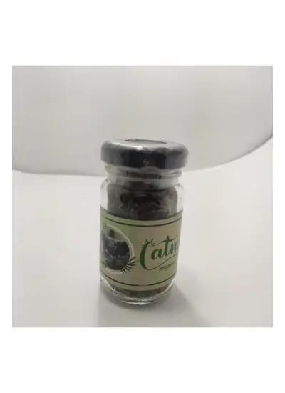 Catnip Doğal Kedi Otu - Kedi Nanesi