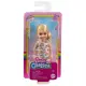 Barbie Chelsea Bebek Serisi DWJ33-HGT02