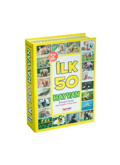 1352FlashCardsİlk50Hayvan-Dıytoy