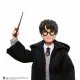 HND78 Harry Potter ve Seçmen Şapka