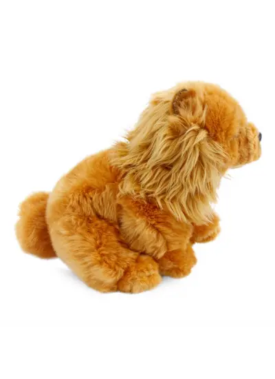 Chow Chow (Çin Aslanı) 28 cm