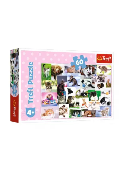 17332 Kedi Dünyası 60 Parça Puzzle -Trefl Puzzle