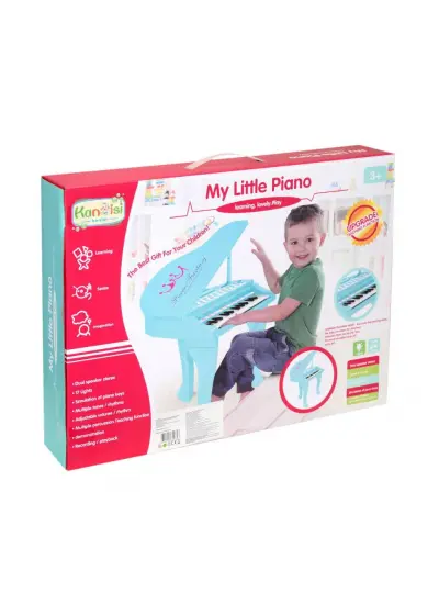 HY671-E My Little Piano- Gepettoys