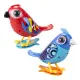 Digibirds İkili Paket Seri 2