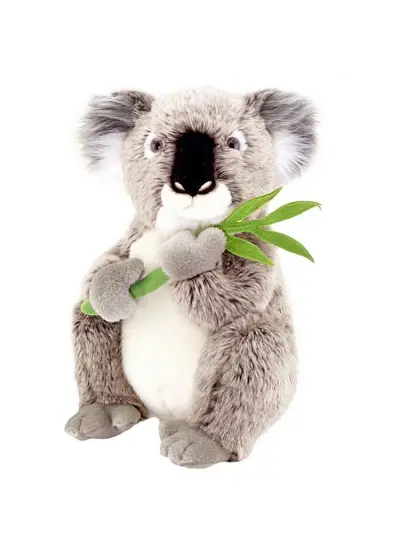 30Cm Koala