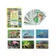 1352FlashCardsİlk50Hayvan-Dıytoy