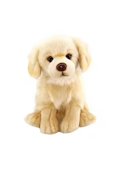 Peluş Floppy Golden Retriever 28 cm