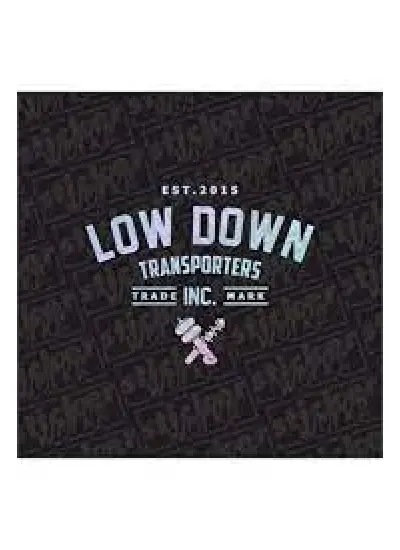 Low Down Transporters Arka Cam Hologram Sticker