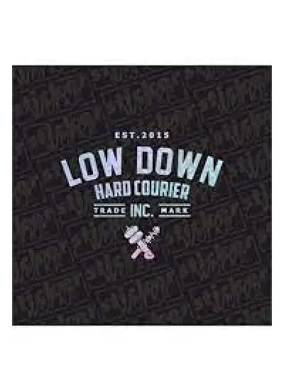 Low Down Hard Courier Arka Cam Hologram Sticker