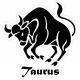 Taurus Boğa (Oto-Motor-Laptop-Dekor) Sticker 30 x 16 cm