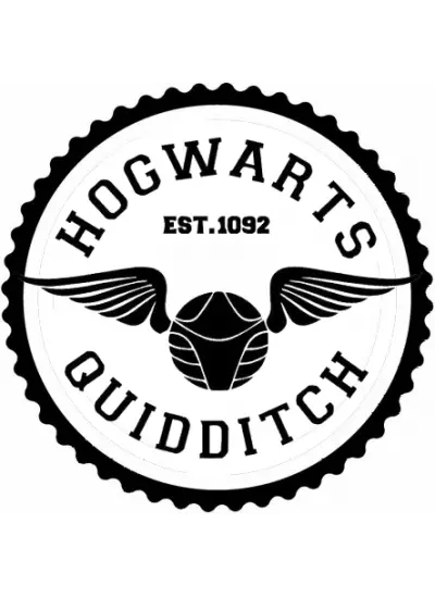 Hogwarts Quıddıtch Tasarım Sticker 30 x 30 cm