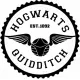 Hogwarts Quıddıtch Tasarım Sticker 30 x 30 cm