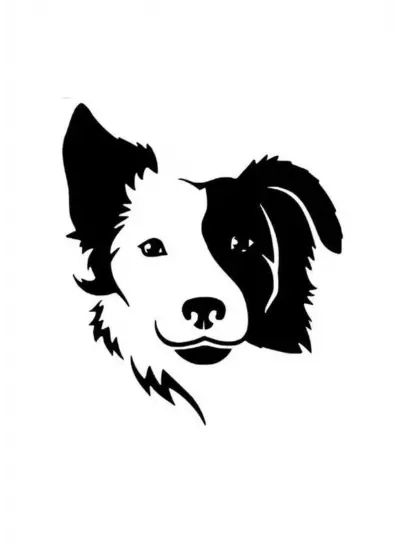 Kırbaş Köpek (Duvar-Tekne-Vitrin-Dekor) Sticker 45 x 60 cm