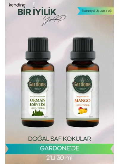 Orman Esintisi + Mango (Oda Kokusu Aroma Terapi Buhurdanlık/Difüzör Yağı) Set 2 Adet x 30 ml