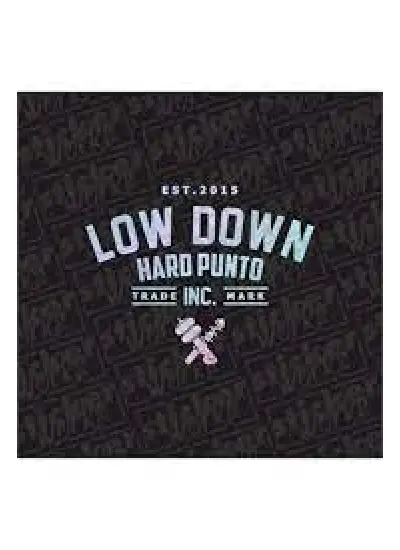 Low Down Hard Punto Arka Cam Hologram Sticker