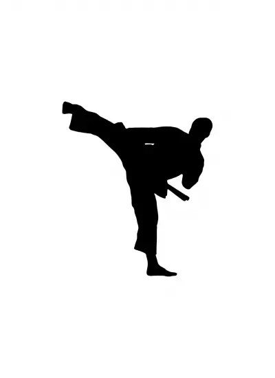 Karate Sticker (Oto-Motor-Laptop-Duvar-Dekor) 10 x 11 cm