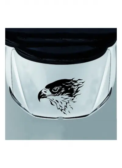 Kartal Tasarım Sticker (Oto-Motor-Laptop-Duvar-Dekor) 10 x 7 cm