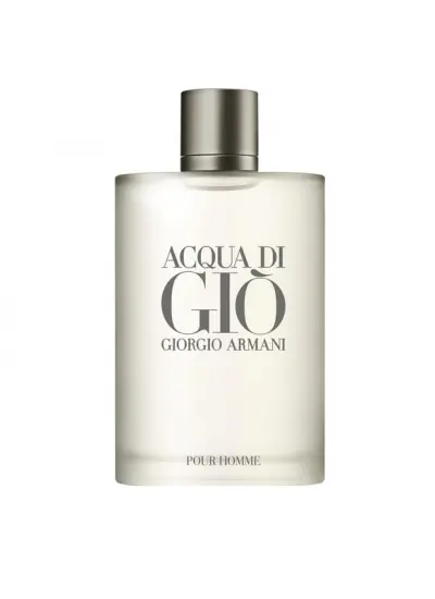 Giorgio Armani Acqua Di Gio EDT 100 ml Erkek Parfümü