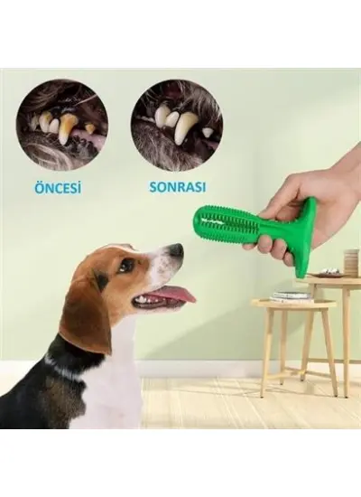 BUFFER® Köpek Diş Temizleyici ve Kaşıyıcı Sağlıklı Küçük Boy Oyuncak