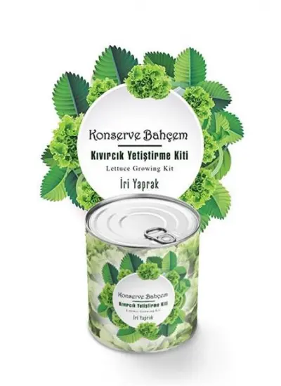 BUFFER® Konserve Bahçem Evde Konservede İri Yapraklı Kıvırcık Yetiştirme Kiti