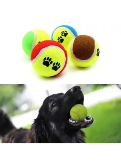 BUFFER®  3lü Renkli Desenli Tenis Topu Kedi Köpek Oyuncağı